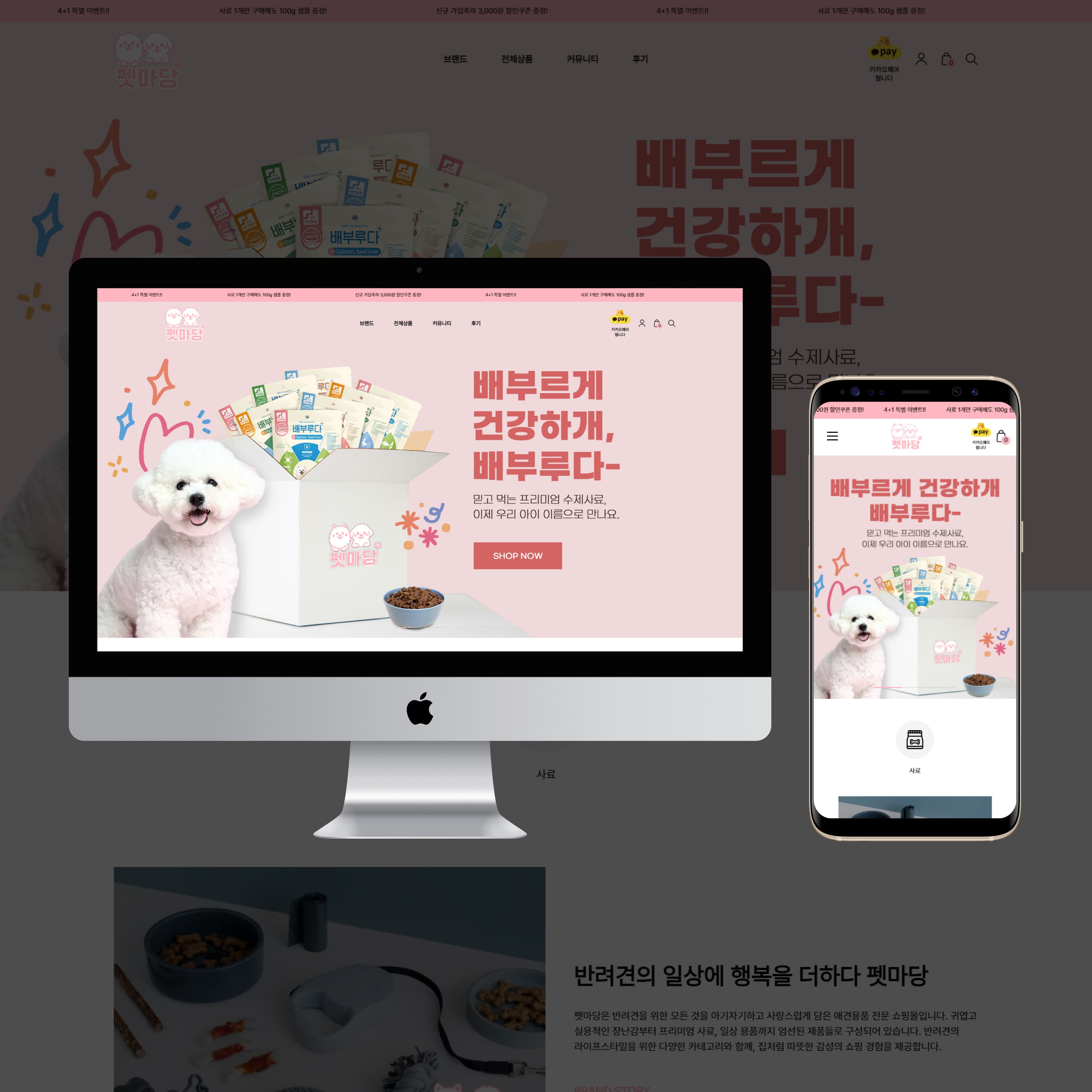 Petmardang 운영 UX 개선 대표 이미지